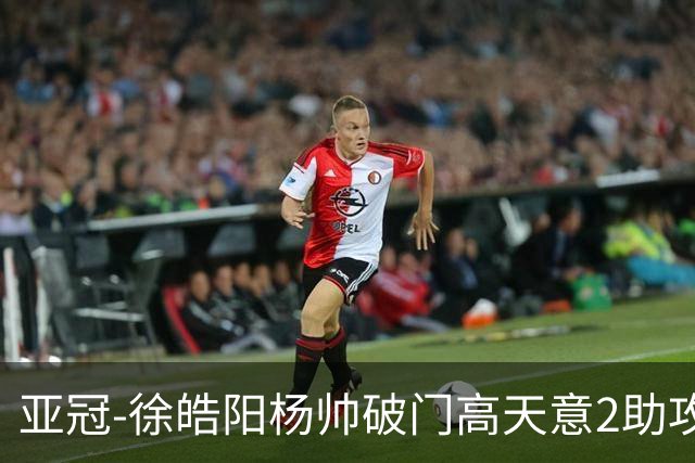 亚冠-徐皓阳杨帅破门高天意2助攻 申花2-1淡滨尼流浪者